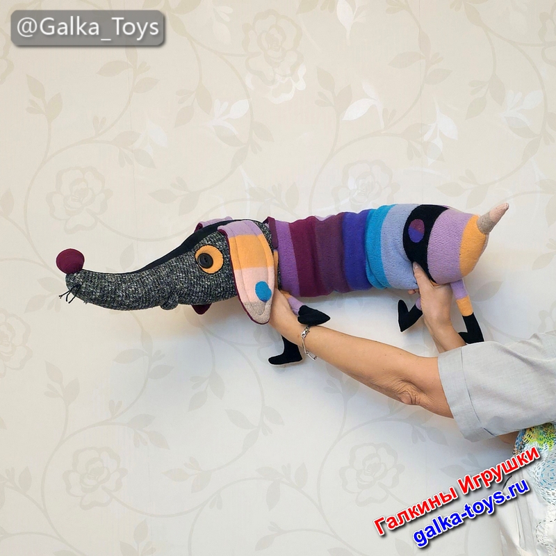 собака с длинной мордой