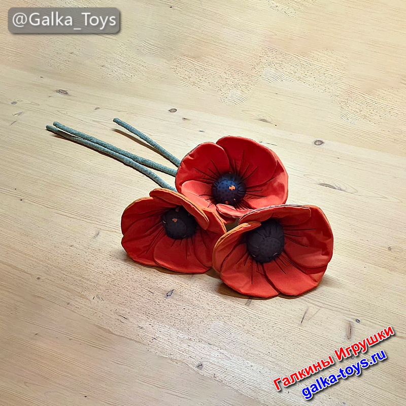 черный мак цветок