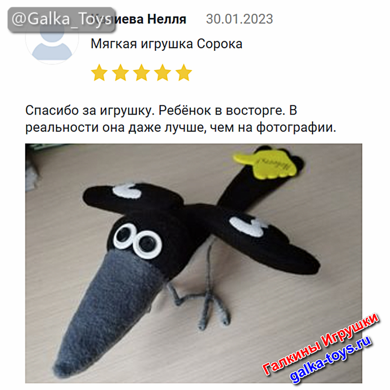 маленькая черно белая птичка